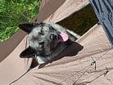 IMG_20250629_152113