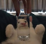 1721673984334374