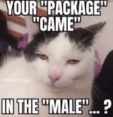 1745041381058155