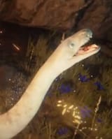 Elden snail
