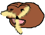 1740653168307987