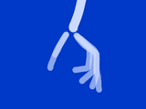 Untitled11_20250704135807