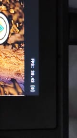 1000031675