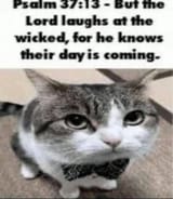 1751823162161962
