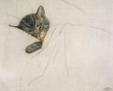 Chessie