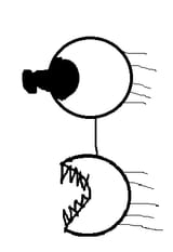 bhnjomp2