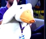 Even Goosebert is Afraid