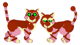 random image of a hex edited cat