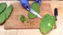 how to prepare maractus_thumb.jpg
