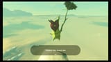 korok (5)