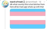 ugly bitches country