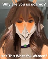 53037_de2146819e0041c8