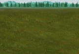 grass2