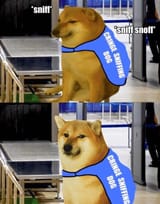 1717002378186966