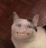 1692713202461