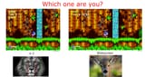 Sonic 3&amp;K hunter view vs. baby mode prey view