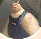 1751433193558160