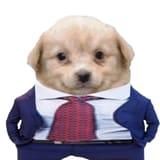 pet that dawg