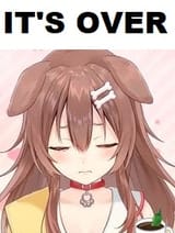 It&#039;s over