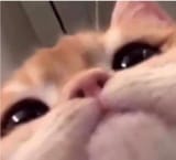 1630300059677