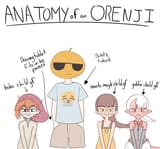 anatomy orenji 1714808108987345