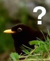 1711608869073184