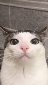 1732305441079958
