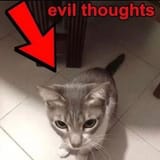 1905728396866551890-01