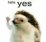 haha yes