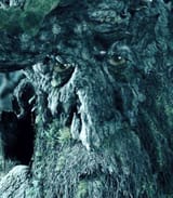 Treebeard-1093