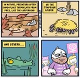 predator
