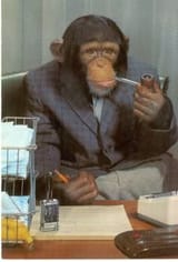 professor