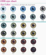 iris chart