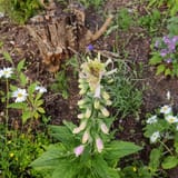 IMG_20250625_192850