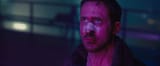gosling