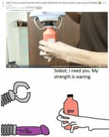 soybot