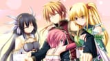 no harem for you
