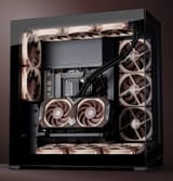 noctua