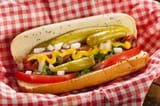 chidog
