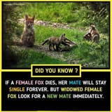 females amirite fellas haha fuck this earth