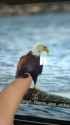1734999123255185_thumb.jpg