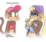 neuronACTIVATIONmonkegirls