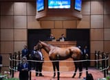 Hip523HORA7-24FTK