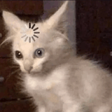 1747375616191340
