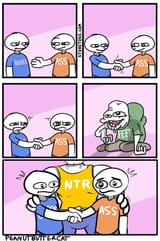 Stonetoss NTR
