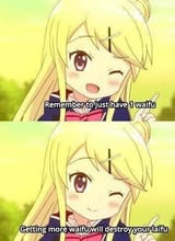 more than one waifu