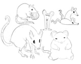 deku rats