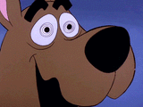 hornyscoob
