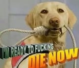 1466896927226