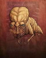 guild navigator 2